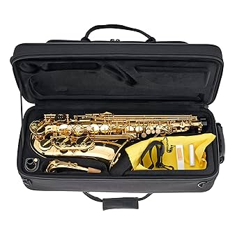 Easton Gold 24 6本セット Amazon.com: Apollo Alto Saxophone in gold lacquer with
